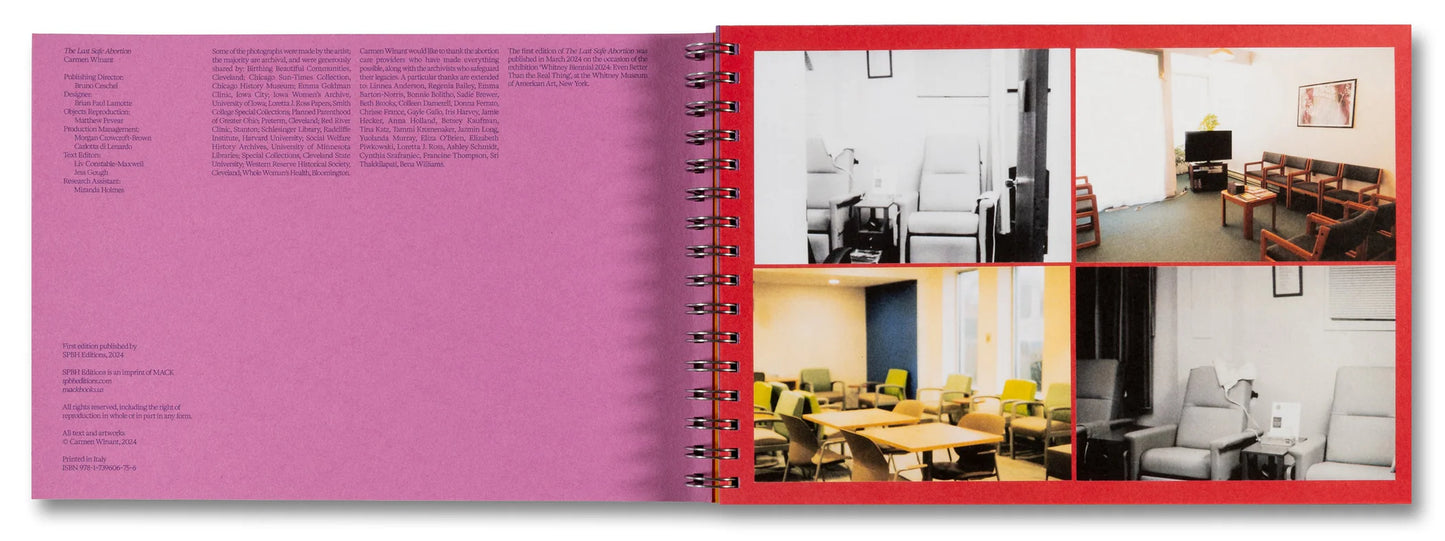 The Last Safe Abortion - Carmen Winant