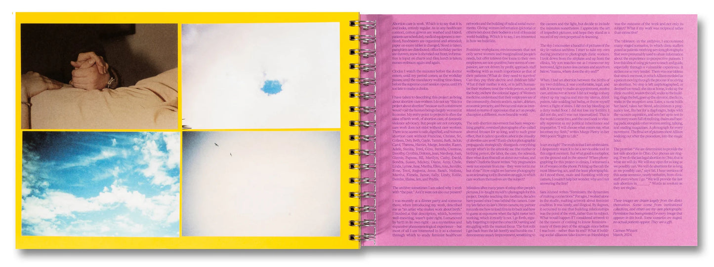 The Last Safe Abortion - Carmen Winant