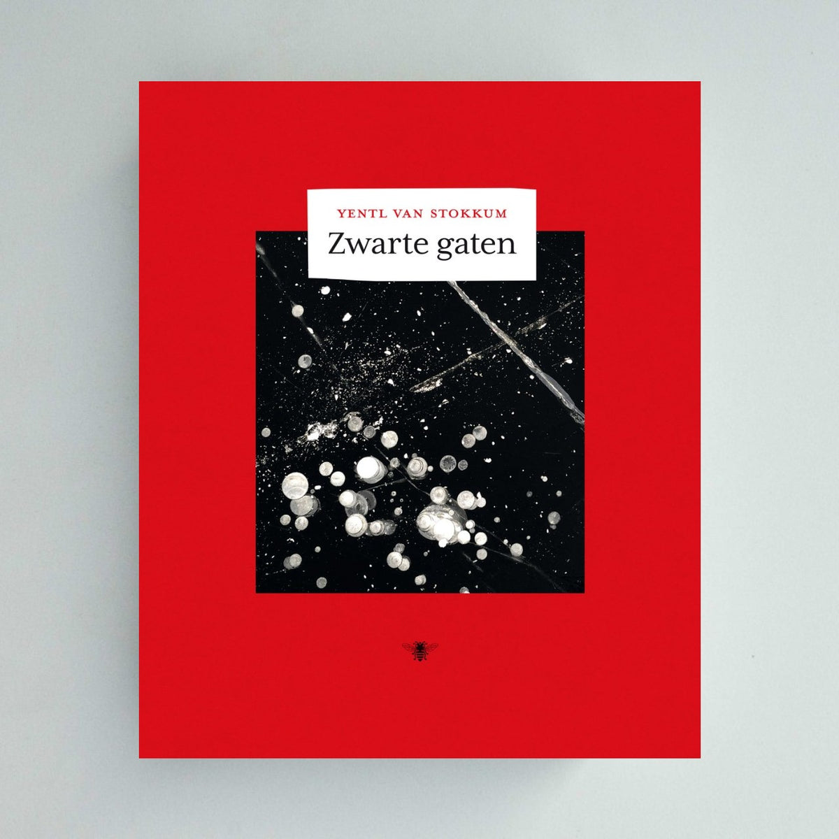 Pre-order: Zwarte gaten - Yentl van Stokkum