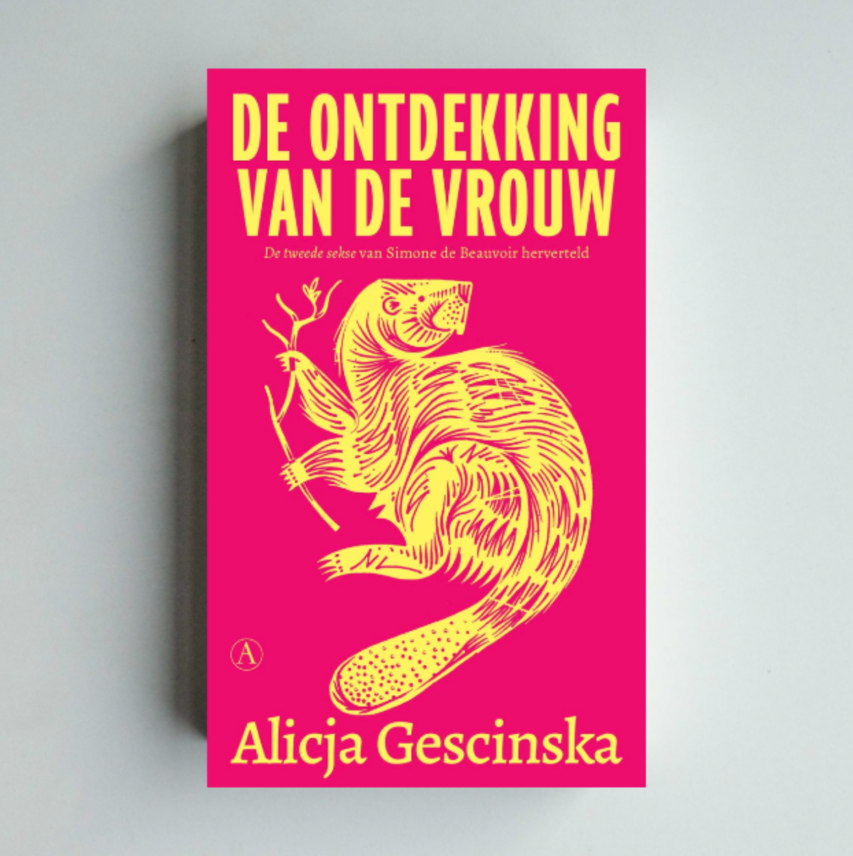 De ontdekking van de vrouw - Alicja Gescinska