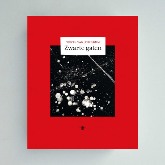 Pre-order: Zwarte gaten - Yentl van Stokkum